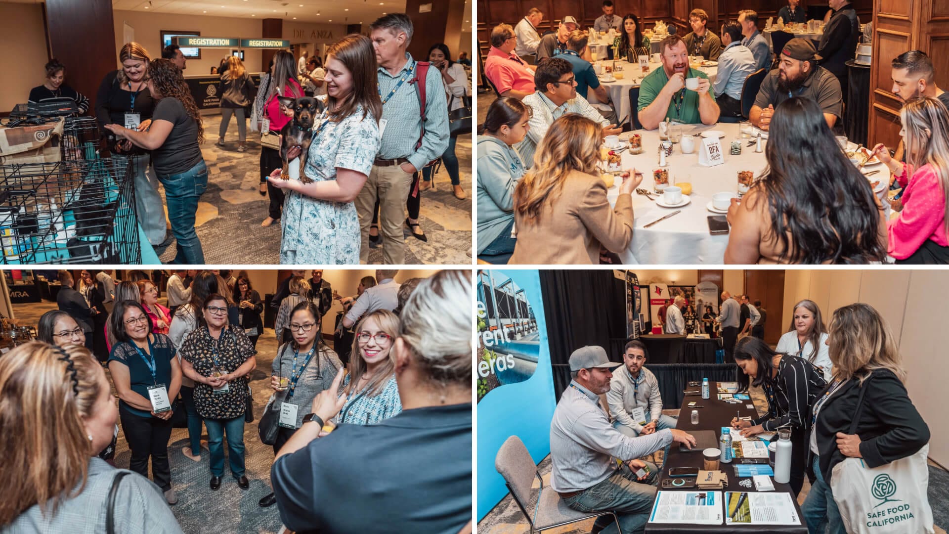 Grid of four images showcasing networking moments at Safe Food California 2025: (1) attendees interacting with animals at the Paw Pavilion, (2) DFA members enjoying lively conversation over breakfast, (3) attendees mingling at the Opening Reception, and (4) a busy exhibitor booth with attendees engaging with a vendor—highlighting the conference’s strong sense of community and cross-industry connection.