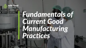 Fundamentals of cGMPs